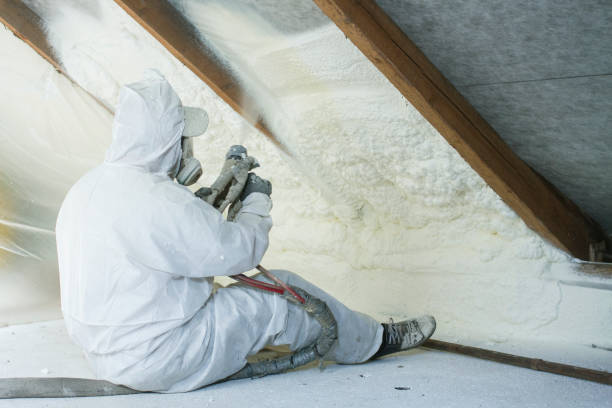 Professional Insulation Removal & Installation in Lake Dalecarlia, IN